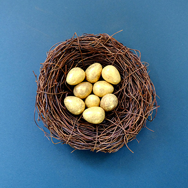 Insights_thumbnail_Eggs in Basket